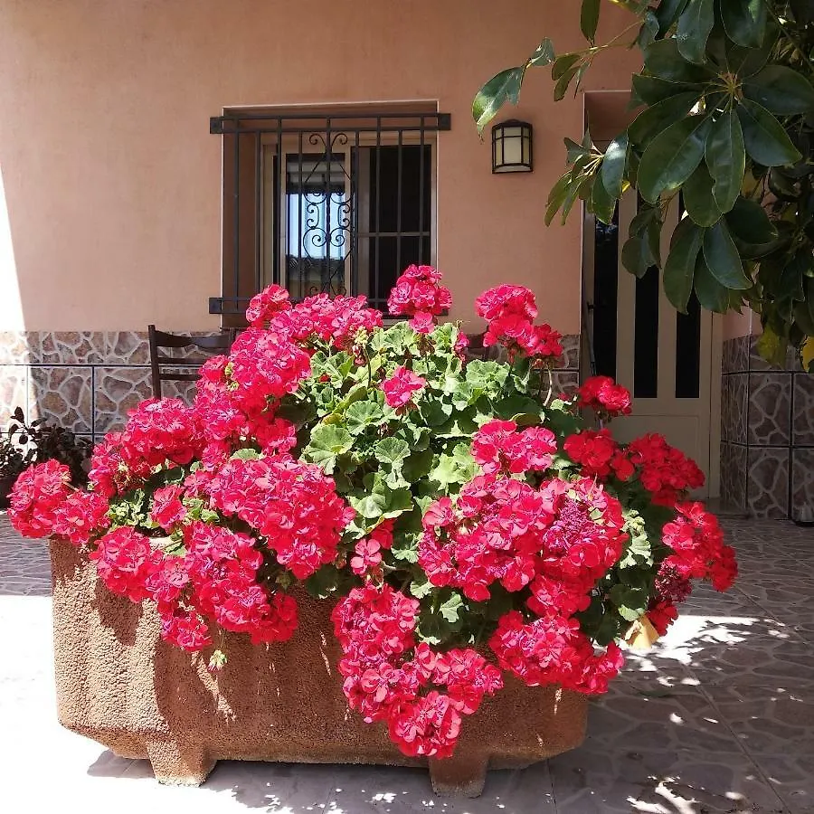 Vakantiehuis Casa Enric Deltebre Villa Spanje